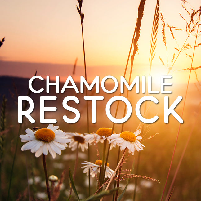 Chamomile restock