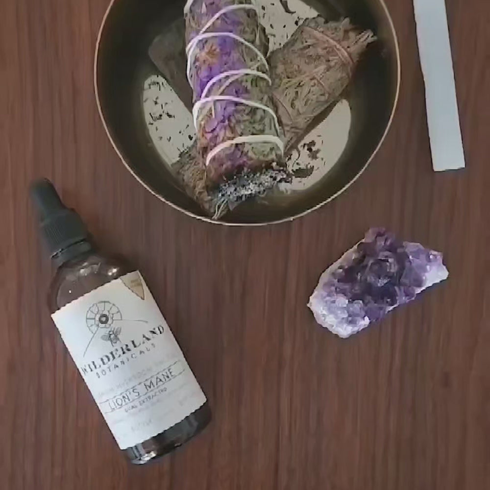 
                  
                    Load and play video in Gallery viewer, lions mane tincture smudge
                  
                