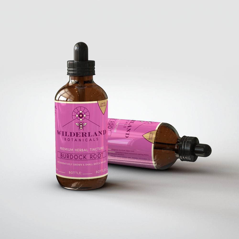 Organic Burdock Root tincture - Wilderland Botanicals